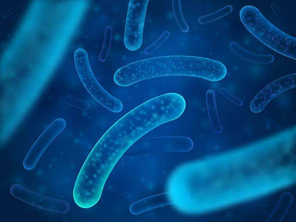 Probiotics